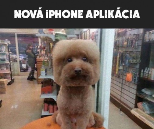 Nová iPhone aplikácia